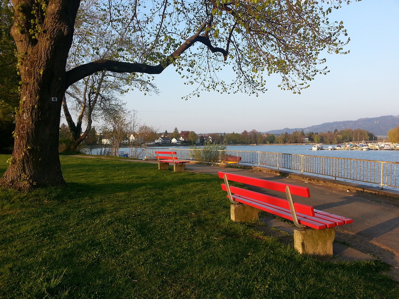 越智慧和信 越智慧和信