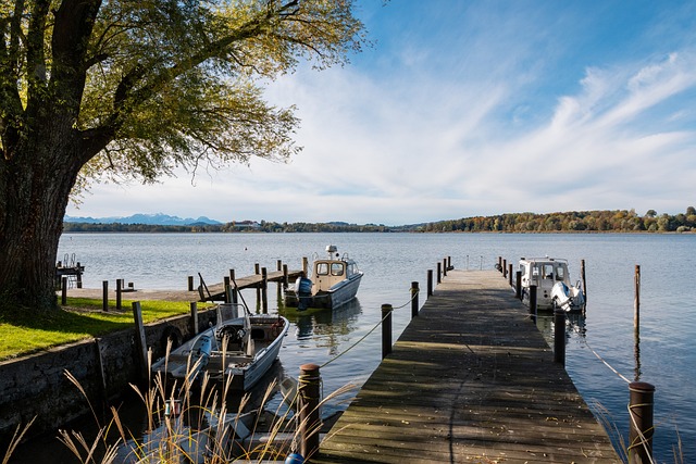 与国际市场 与国际市场