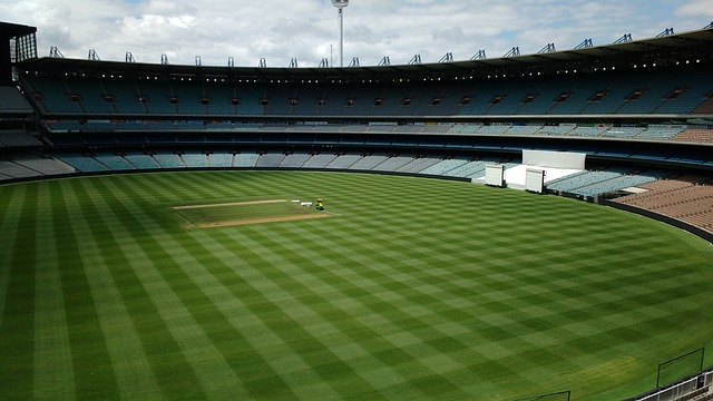 不仅仅限于 不仅仅限于