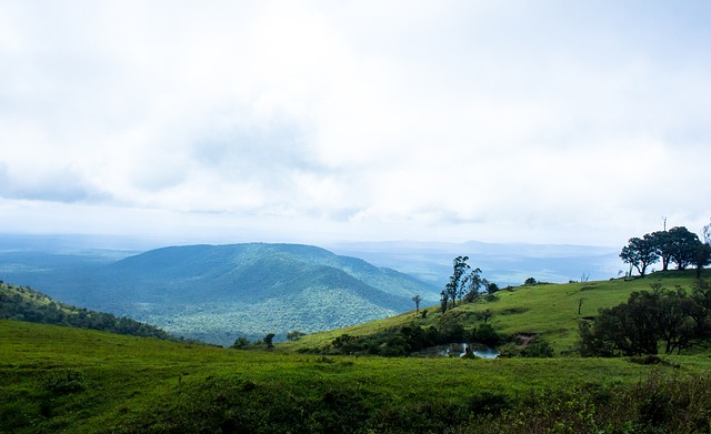 顶级球星能 顶级球星能