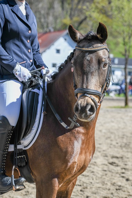 项重要的战 项重要的战