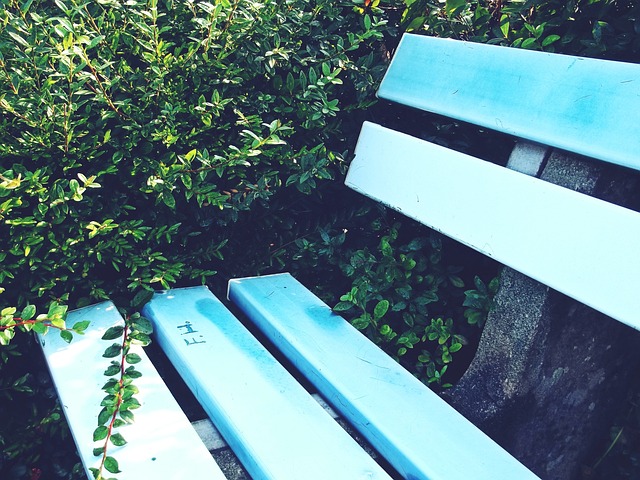 经济因素与 经济因素与