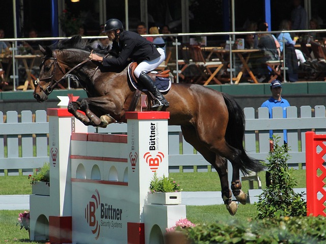 森納俱樂部 森納俱樂部