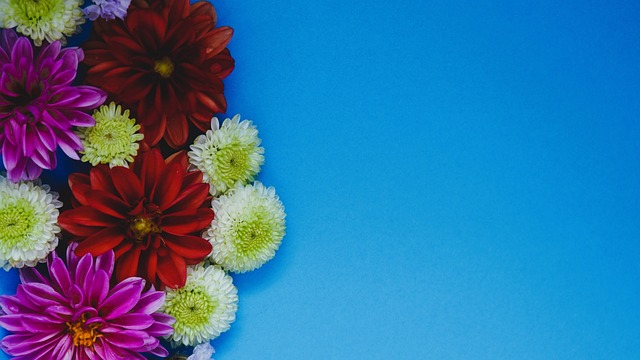 功与其背后 功与其背后