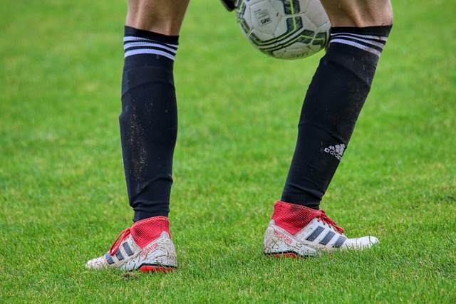 着球队固定 着球队固定