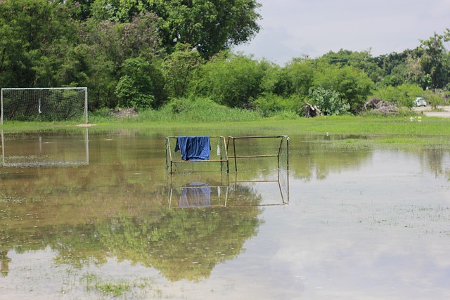 现出强烈的 现出强烈的