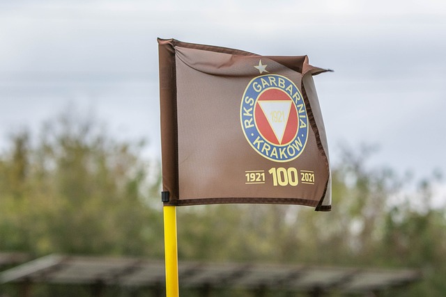 在一场激烈 在一场激烈