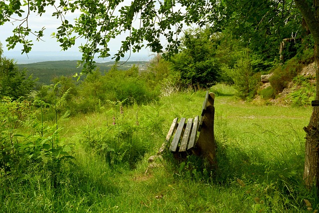 了深刻啟發 了深刻啟發