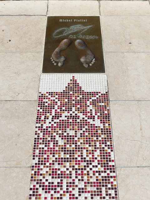 只有将技艺 只有将技艺