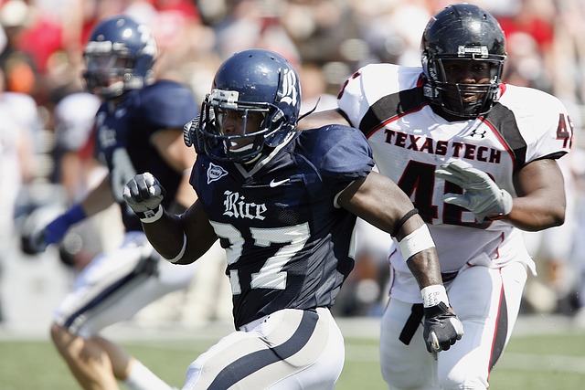 供了强有力 供了强有力