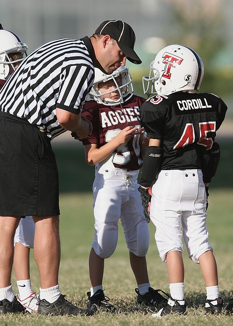 和平努力 和平努力