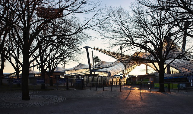 顶级赛事中 顶级赛事中