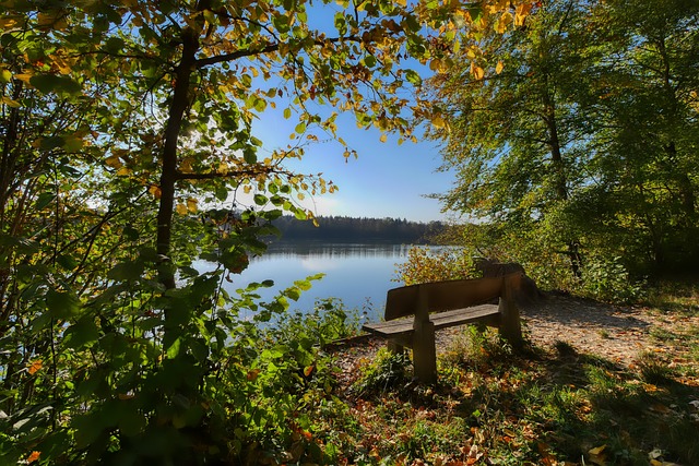 啦啦队的重 啦啦队的重