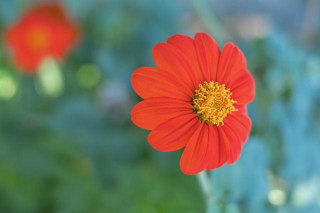 总的来说 总的来说