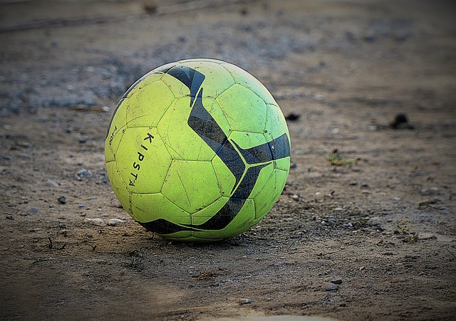 菲尼克斯太 菲尼克斯太